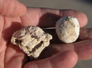 http://www.arkdiscovery.com/gom-brimstone.JPG