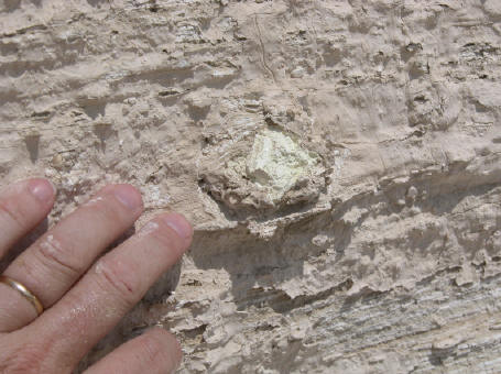 http://www.arkdiscovery.com/gomorrah-left73.JPG