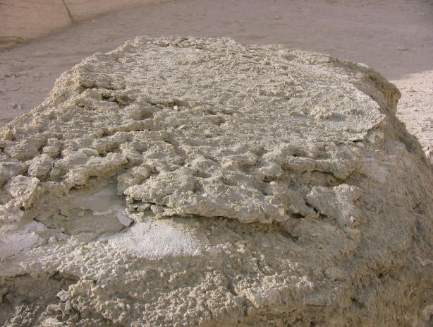 http://www.arkdiscovery.com/IMG_0114.JPG