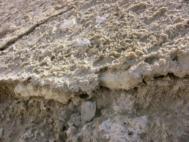 http://www.arkdiscovery.com/IMG_0109.JPG