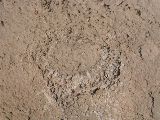 http://www.arkdiscovery.com/gomorrah-north-crystals.JPG