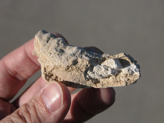 http://www.arkdiscovery.com/gom-unknown.JPG